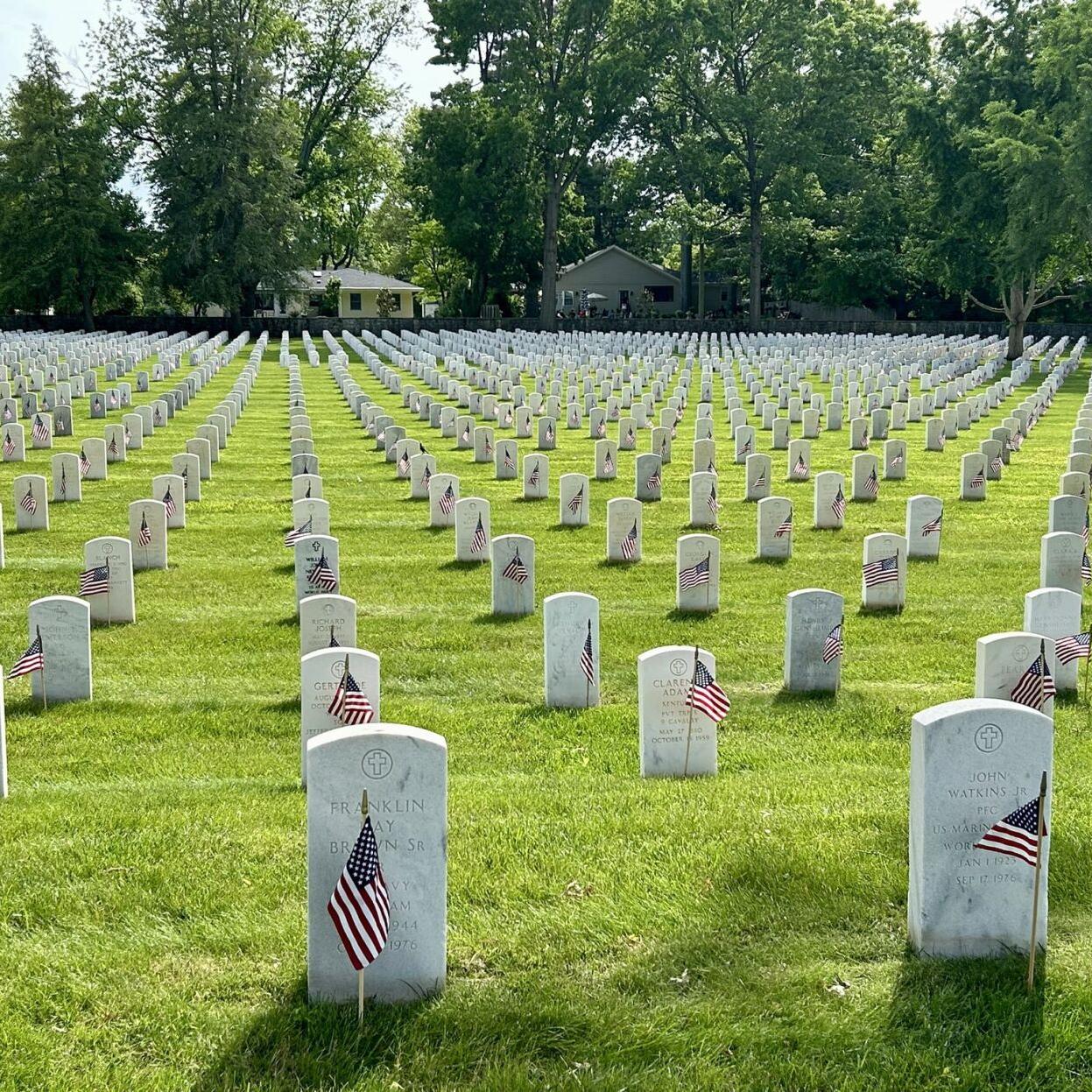 Zachary Taylor National Cemetery on Memorial Day.jpeg